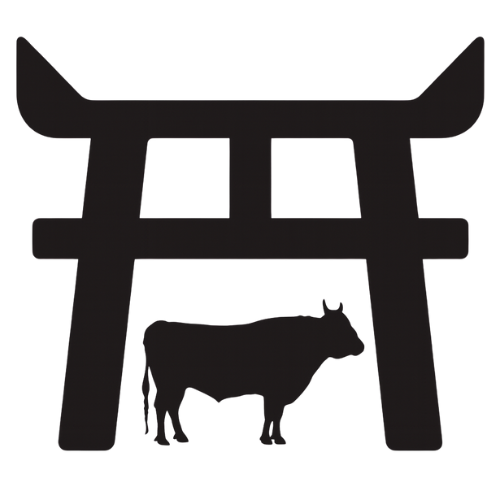 Hida Wagyu Beef