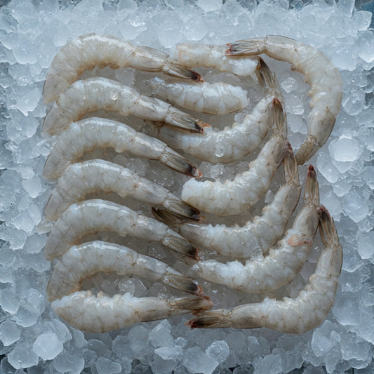 Jumbo Shrimp - 2lbs (Raw)